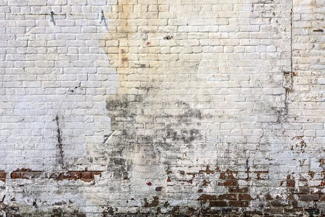 Mur de briques peint en blanc taché d'humidité, peinture écaillée et briques à nu en partie basse