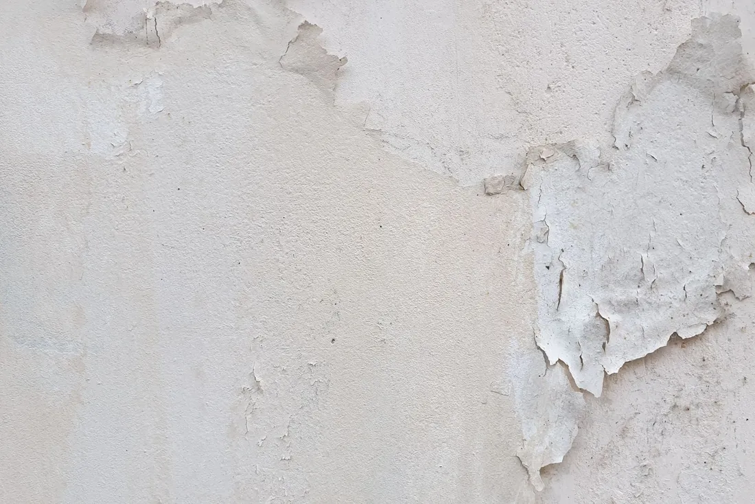 Peinture blanche qui se soulève et s'écaille sur un mur intérieur, enduit gris visible dessous